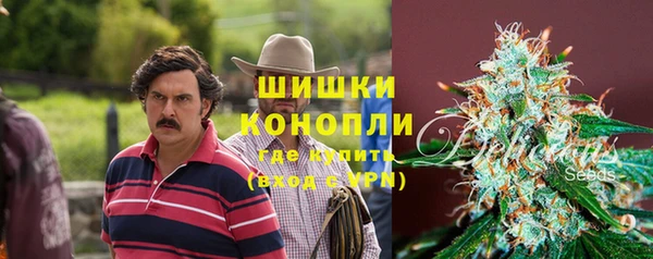 дживик Аркадак